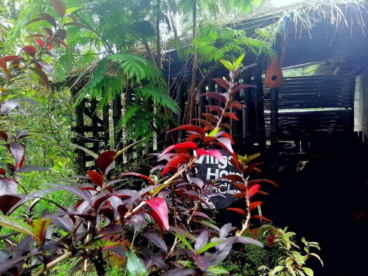 The Horizon Root Inn Ella Exterior foto